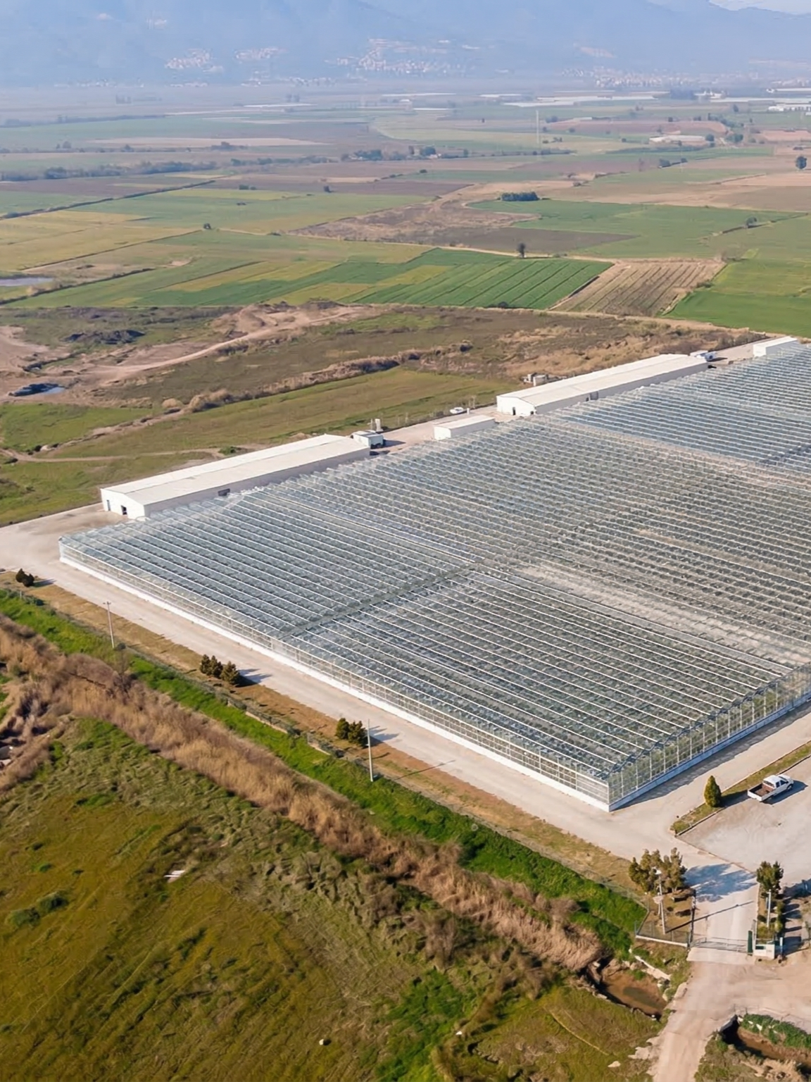 Sultan Sera Üretim 2